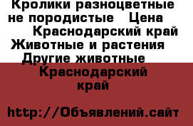 Кролики разноцветные не породистые › Цена ­ 800 - Краснодарский край Животные и растения » Другие животные   . Краснодарский край